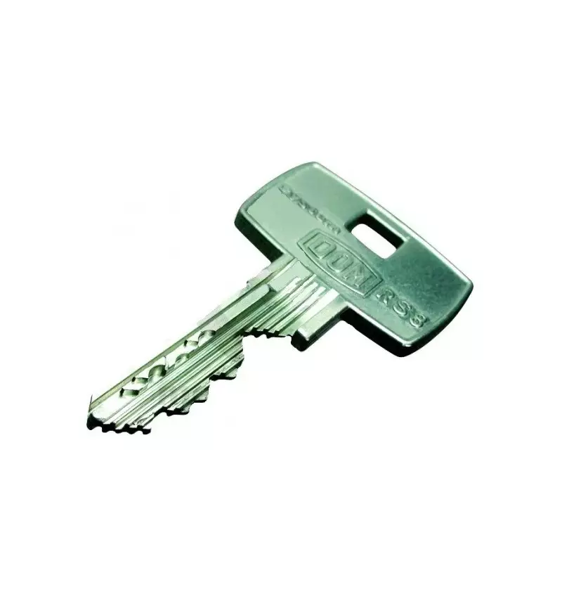 Clé Rs5/ Rs8 Dom Sur Numero/ Passe