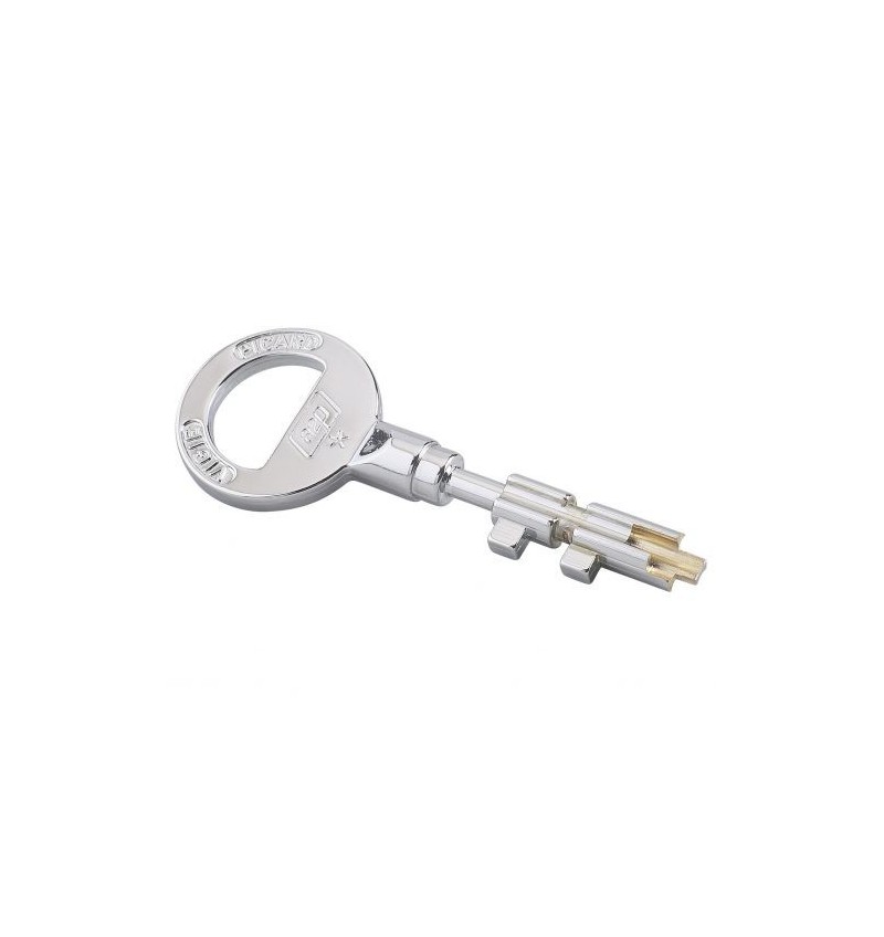 Double Cle Picard Vigie Sans Mobile Sur Numero