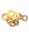 : Modèle:BAGUE DE PAUMELLE PICARDE N°6 BOITE 100 : Modèle:BAGUE DE PAUMELLE PICARDE N°6 BOITE 100