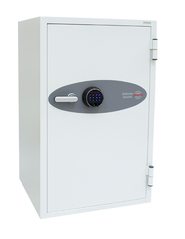 DS 2503F  Serrure Electronique