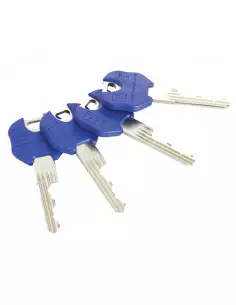 Cylindre Européen Heracles Y9 2