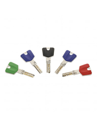 Cylindre Double Entrée Héraclès Laiton Nickelé...