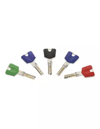 Cylindre Double Entrée Héraclès Laiton Nickelé...