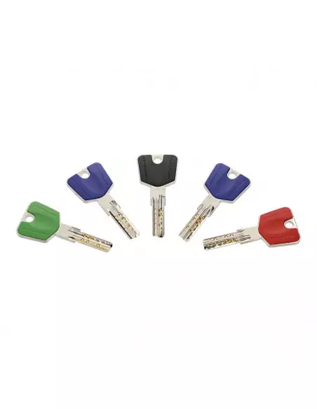 Cylindre Double Entrée Héraclès Laiton Nickelé Y8 A2P*