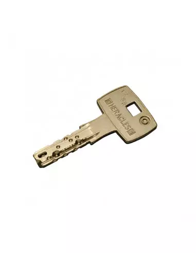 Cylindre Monobloc Heracles Sr Fi66