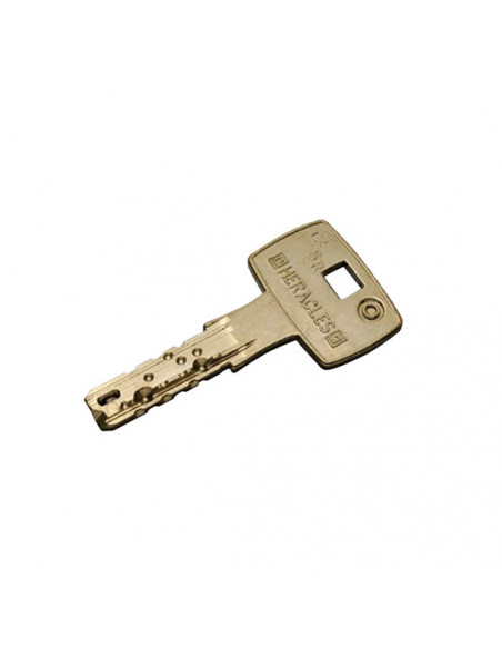 Cylindre Monobloc Heracles Sr Fi66