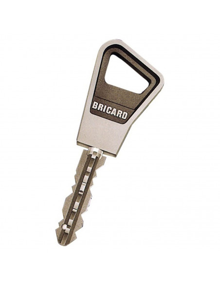 Cylindre Double Entrée A Bille Bricard Super-Surete