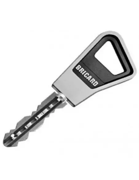 Cylindre Double Entrée Sans Bille Bricard Ovoïde Super-Surete