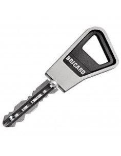 Cylindre Double Entrée A Bille Bricard Ovoïde Super-Surete 2