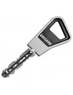 Cylindre Double Entrée A Bille Bricard Ovoïde Super-Surete 2