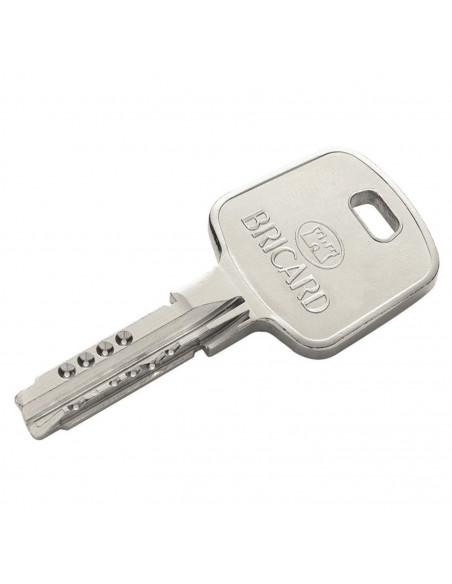 Cylindre Européen Serial A2p* Bricard Avec Protecteur