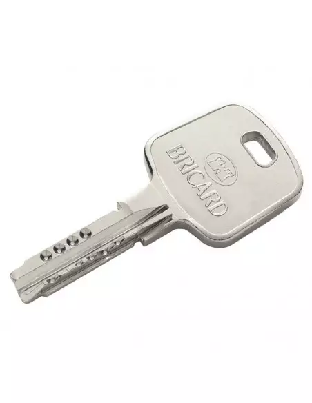 Cylindre Européen Serial A2p* Bricard Avec Protecteur