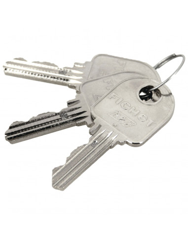 Cylindre Européen Fichet G351