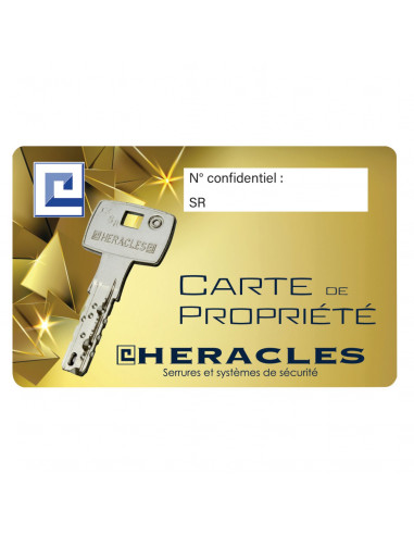 Serrure Monopoint En Applique Heracles Mx4500 Sr