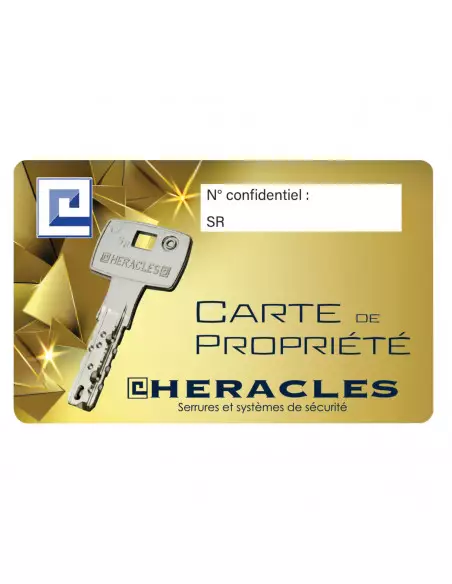 Serrure Monopoint En Applique Heracles Mx4500 Sr