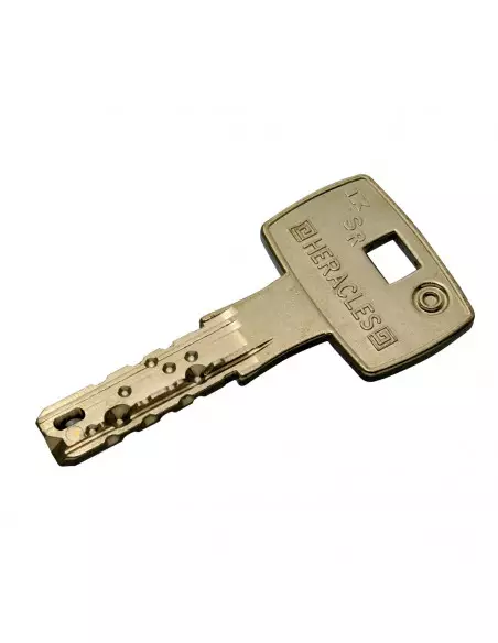 Serrure Monopoint En Applique Heracles Mx4500 Sr