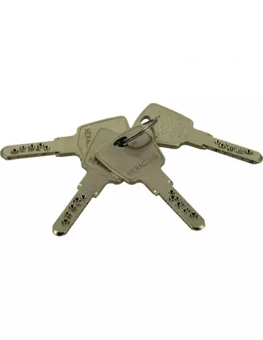 Serrure 3 Points En Applique Heracles 4000 S Omega