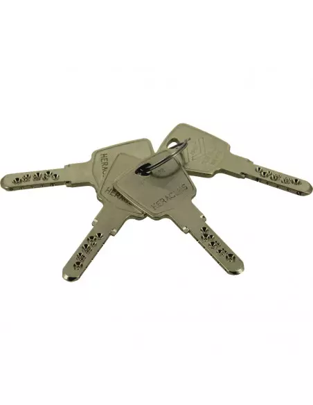 Serrure 3 Points En Applique Heracles 4000 S Omega