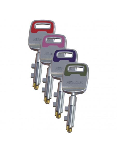 Serrure 3 Points En Applique Heracles Pericles