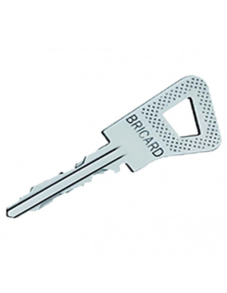 Serrure Monopoint En Applique Bricard Bloctout