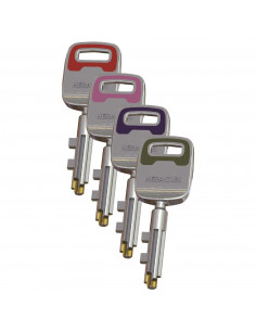 Carénée Heracles Pericles 2