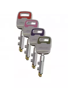 Carénée Heracles Pericles 2