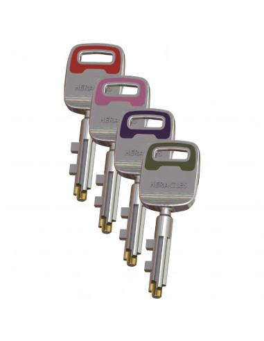 Carénée Heracles Pericles