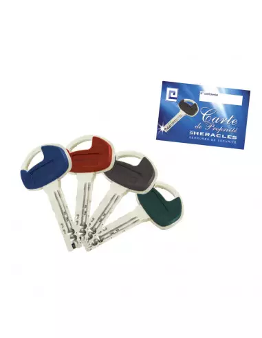 Carénée Sesame 2 Heracles