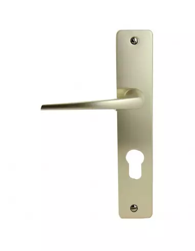 Ensemble Paliere Champagne Fichet Pour Palieris...