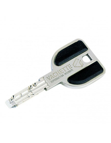 Verrou Double Entrée Vachette Radial Nt