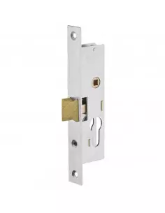 Serrure Monopoint À Larder Profil Étroit Pêne Demi-Tour...