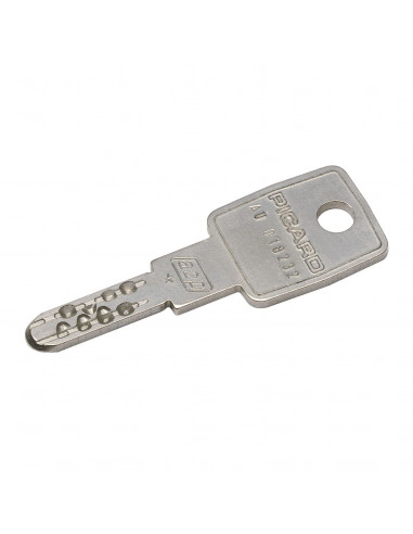 Mécanisme De Carénée Picard Presence 2