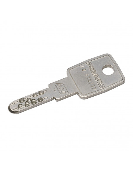 Mécanisme De Carénée Picard Presence 2