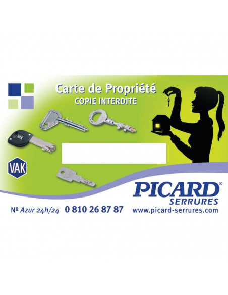 Serrure 3 Points En Applique Trident Picard Vigie
