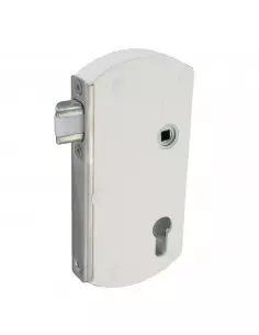 Serrure De Portail En Applique Tirard Modulox