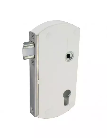 Serrure De Portail En Applique Tirard Modulox