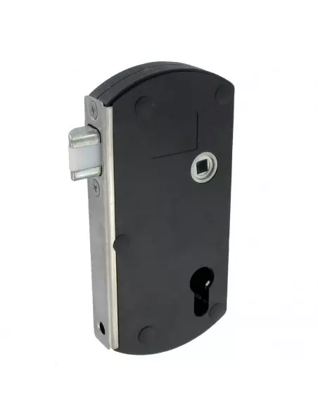 Serrure De Portail En Applique Tirard Modulox