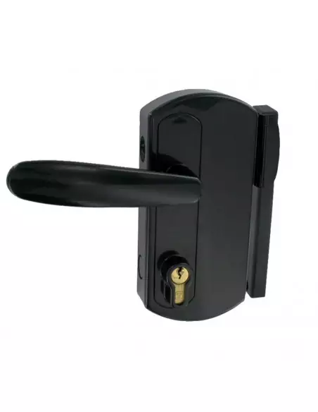 Serrure De Portail En Applique Tirard Modulox