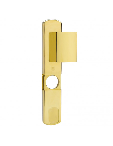 Plaque De Sécurité Salomé Magnétique Heracles Grand Modèle