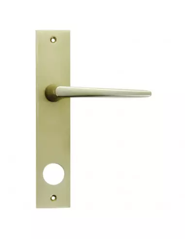 Ensemble Pour Serrure Fichet Sans Souci