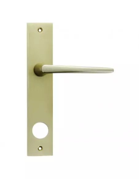 Ensemble Pour Serrure Fichet Sans Souci