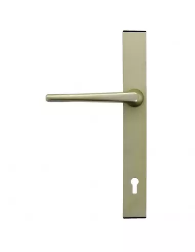 Ensemble Pour Serrure Fichet Sans Souci