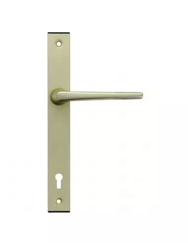 Ensemble Pour Serrure Fichet Sans Souci