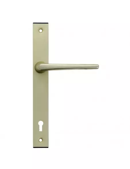 Ensemble Pour Serrure Fichet Sans Souci