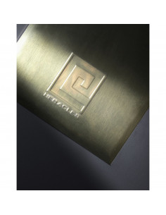 Plaque De Recouvrement Heracles Pour Pivots Tsa Et Tsp 2