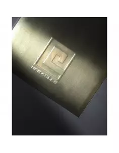 Plaque De Recouvrement Heracles Pour Pivots Tsa Et Tsp 2