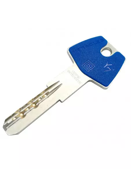 Jeu De Cylindre Héraclès Y7c+ C-Vit Type Cav