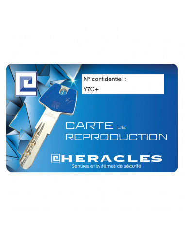 Jeu De Cylindre Héraclès Y7c+ C-Vit Type Cav