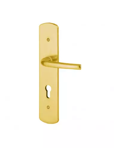 Accessoires Heracles Pour Salome Magnétique