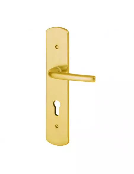 Accessoires Heracles Pour Salome Magnétique